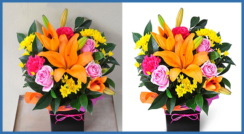 Clipping Path Experts BD logo